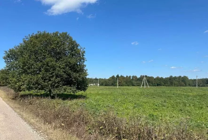 Участок в Московская область, Клин городской округ, д. Вертково 63 ... - Фото 1