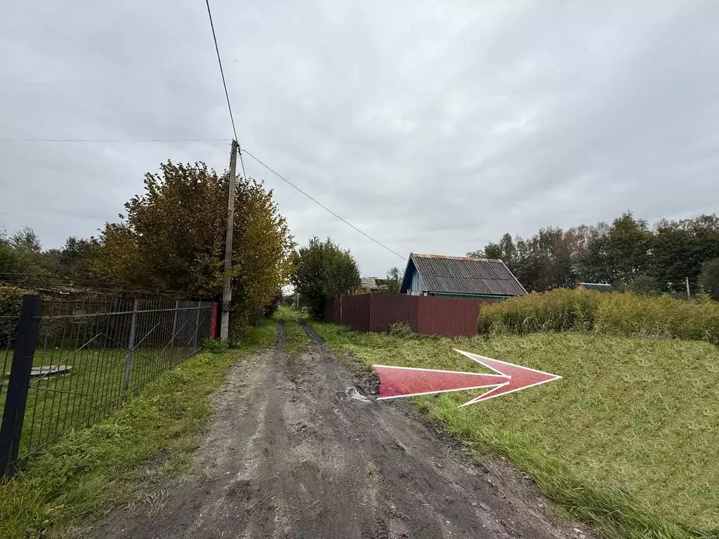 Участок в Калининградская область, Калининград Родник СНТ, ул. ... - Фото 1