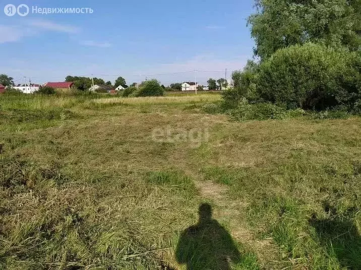 Участок в Калининградская область, Гурьевский муниципальный округ, ... - Фото 2