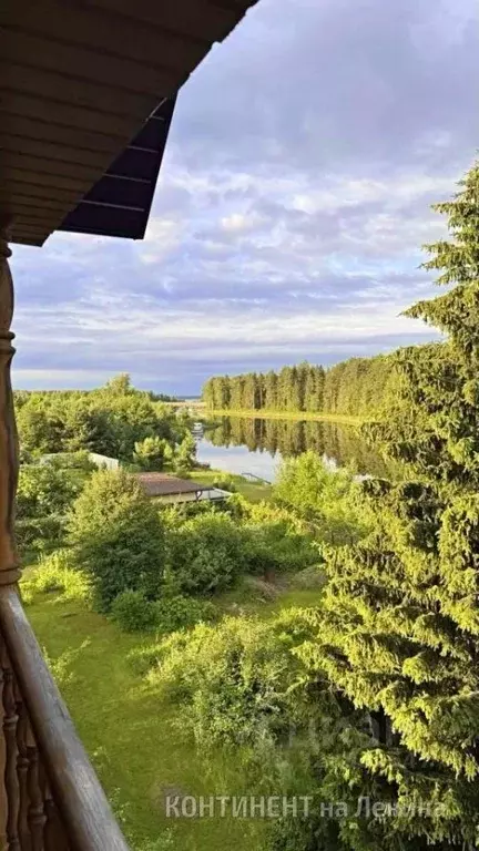 Участок в Ярославская область, Рыбинский муниципальный округ, д. ... - Фото 1