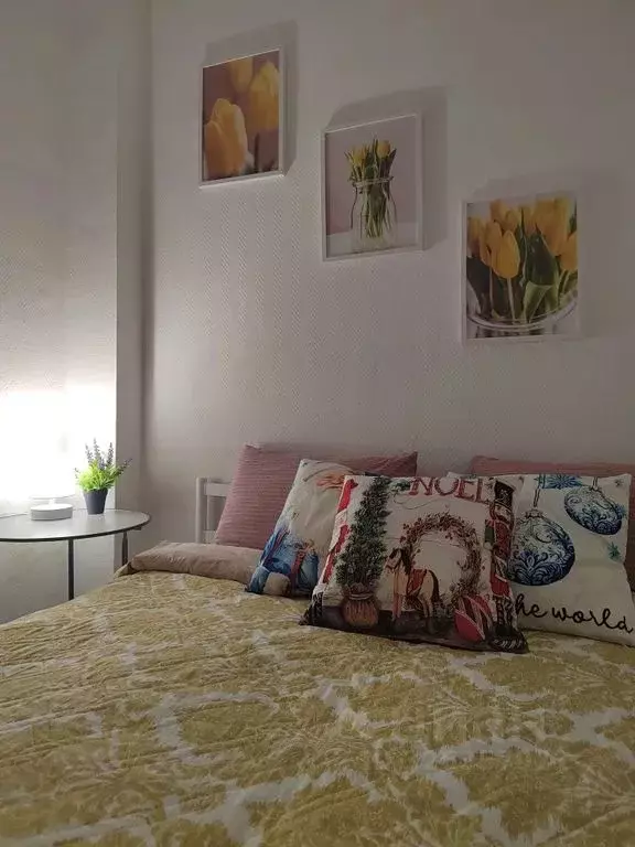 1-к кв. Московская область, Ступино ул. Андропова, 65 (33.0 м) - Фото 2