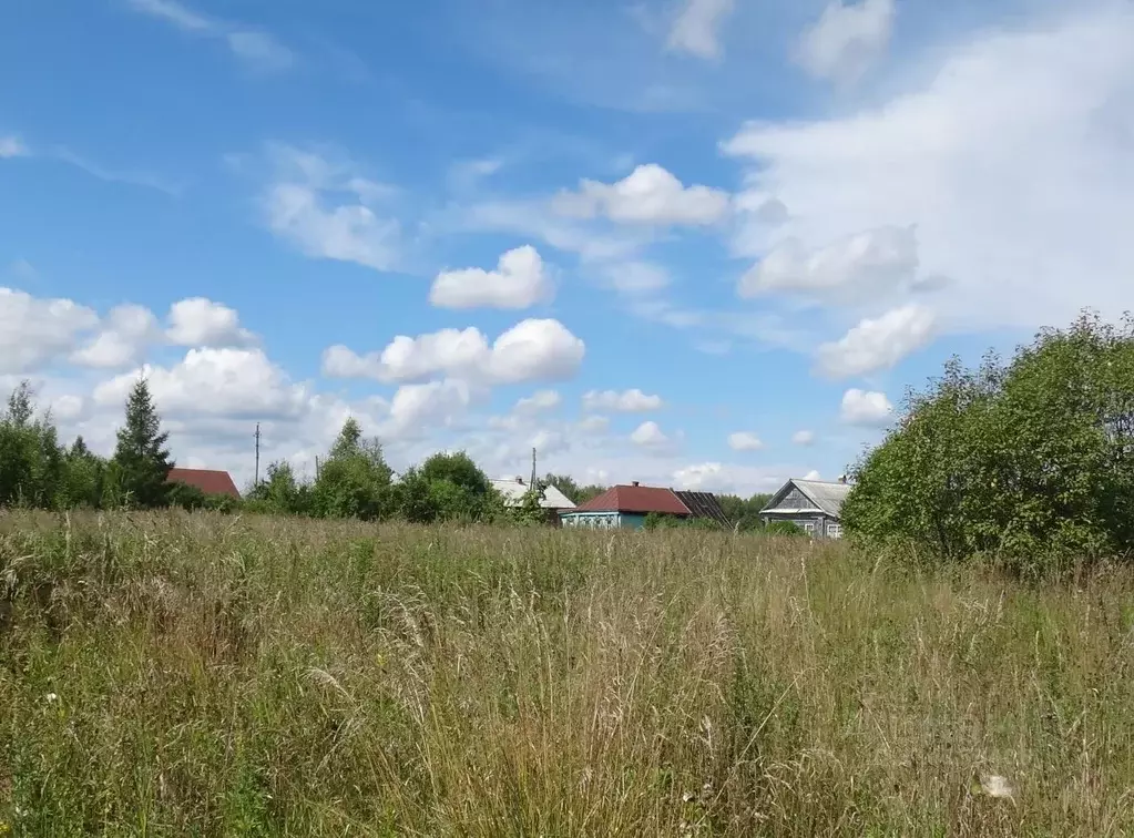 Участок в Владимирская область, Судогодский район, Муромцевское ... - Фото 0