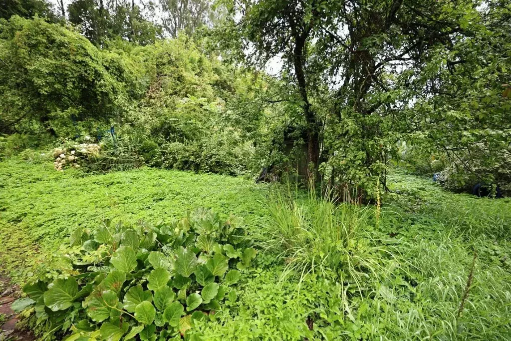 Участок в Ленинградская область, Всеволожский район, Колтушское ... - Фото 2