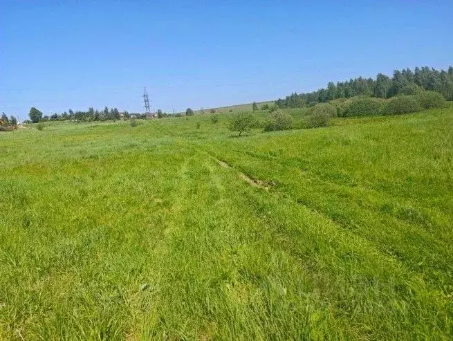 Участок в Московская область, Рузский муниципальный округ, д. Орешки  ... - Фото 1
