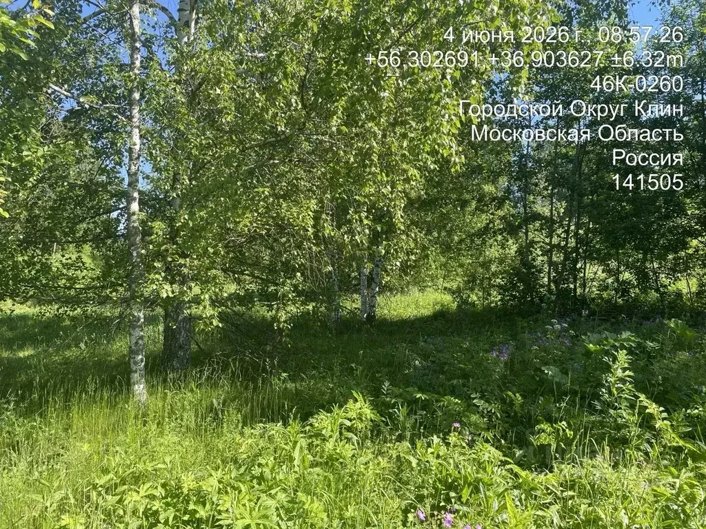 Участок в Московская область, Клин городской округ, д. Залесье  (15.0 ... - Фото 2