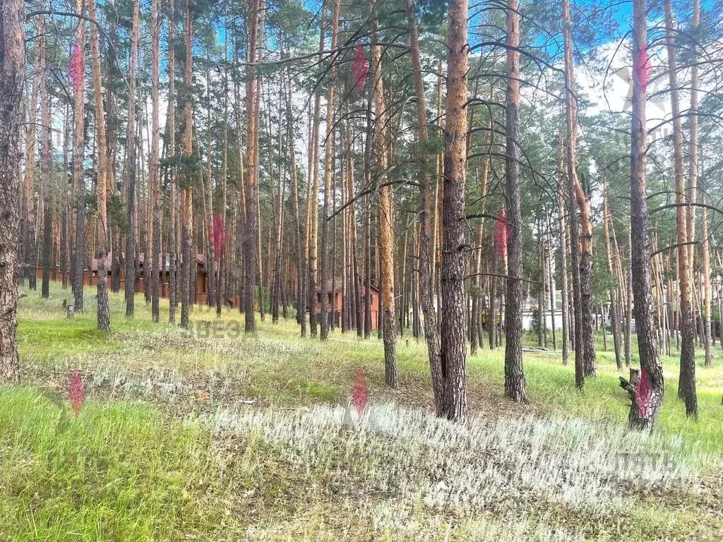 Участок в Самарская область, Красноярский район, Волжский рп ул. ... - Фото 1