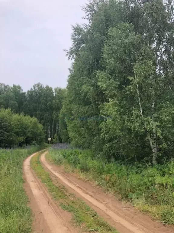 Участок в Нижегородская область, Сокольский городской округ, д. ... - Фото 1