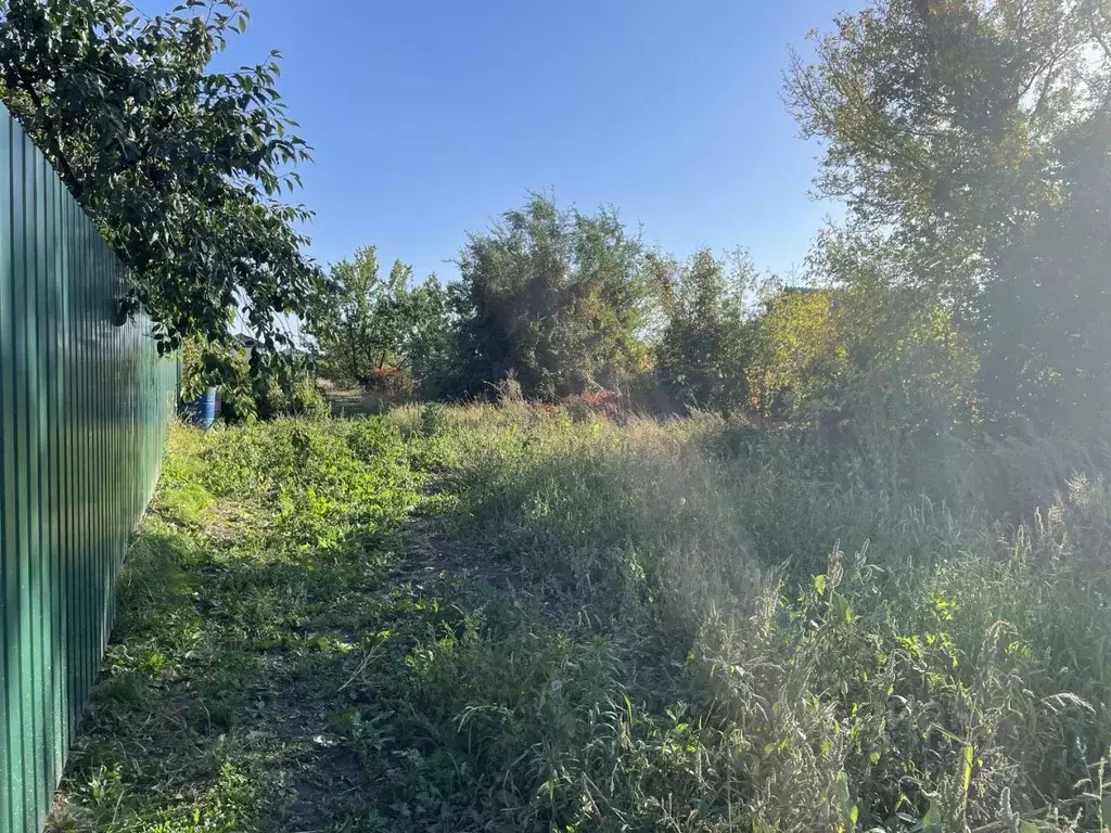 Участок в Воронежская область, Новоусманский район, Отрадненское ... - Фото 2