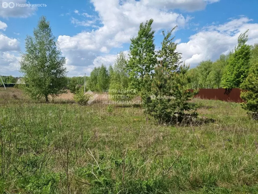 Участок в Рязанский район, Мурминское сельское поселение, село Казарь ... - Фото 1