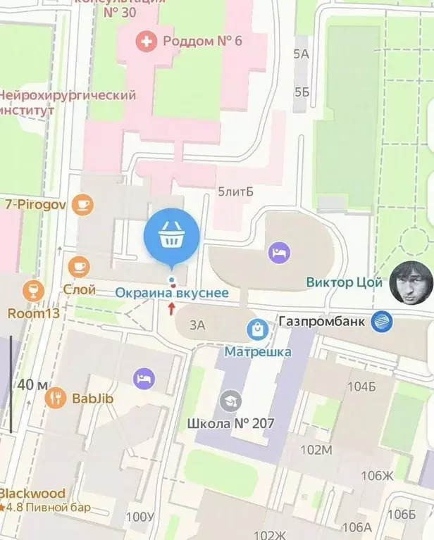 Помещение свободного назначения в Санкт-Петербург ул. Маяковского, 3 ... - Фото 2