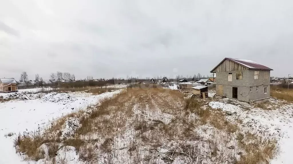 Участок в Тюменская область, Тюмень Садовое товарищество Липовый ... - Фото 0