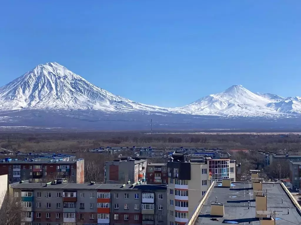 3-к кв. Камчатский край, Елизово ул. Гришечко, 13 (72.0 м) - Фото 0