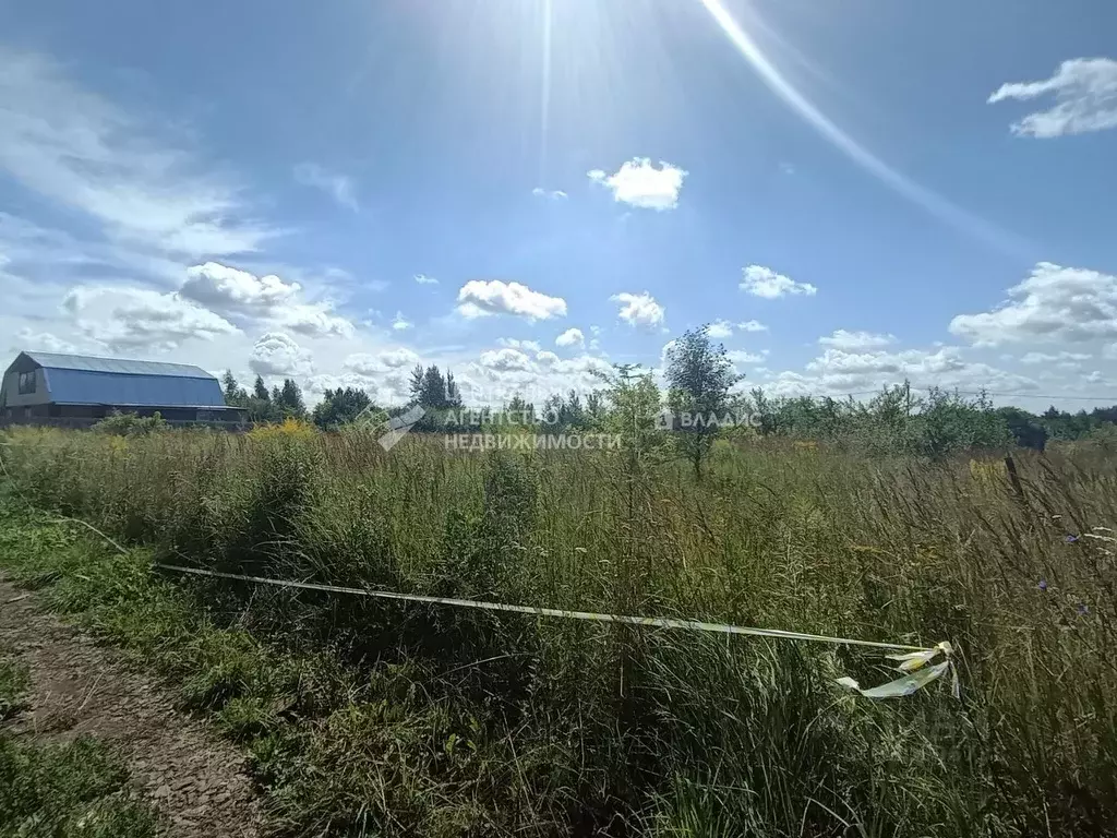 Участок в Рязанская область, Рыбновский муниципальный округ, Колхозник ... - Фото 1
