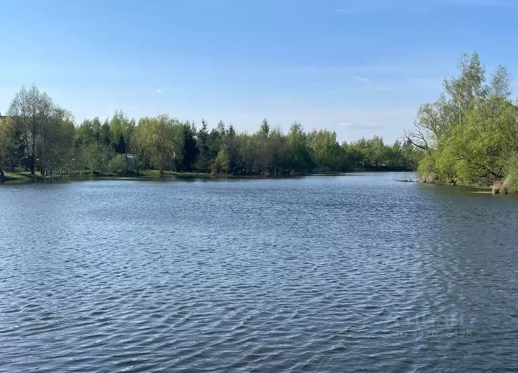 Участок в Московская область, Раменский муниципальный округ, Чистые ... - Фото 1