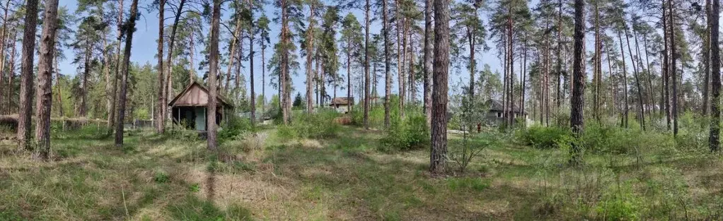 Участок в Самарская область, Тольятти Лесопарковое ш. (27.0 сот.) - Фото 2