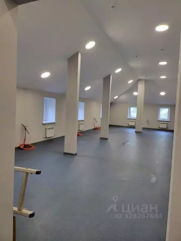 Помещение свободного назначения в Москва Каширское ш., 43К3 (450 м) - Фото 2