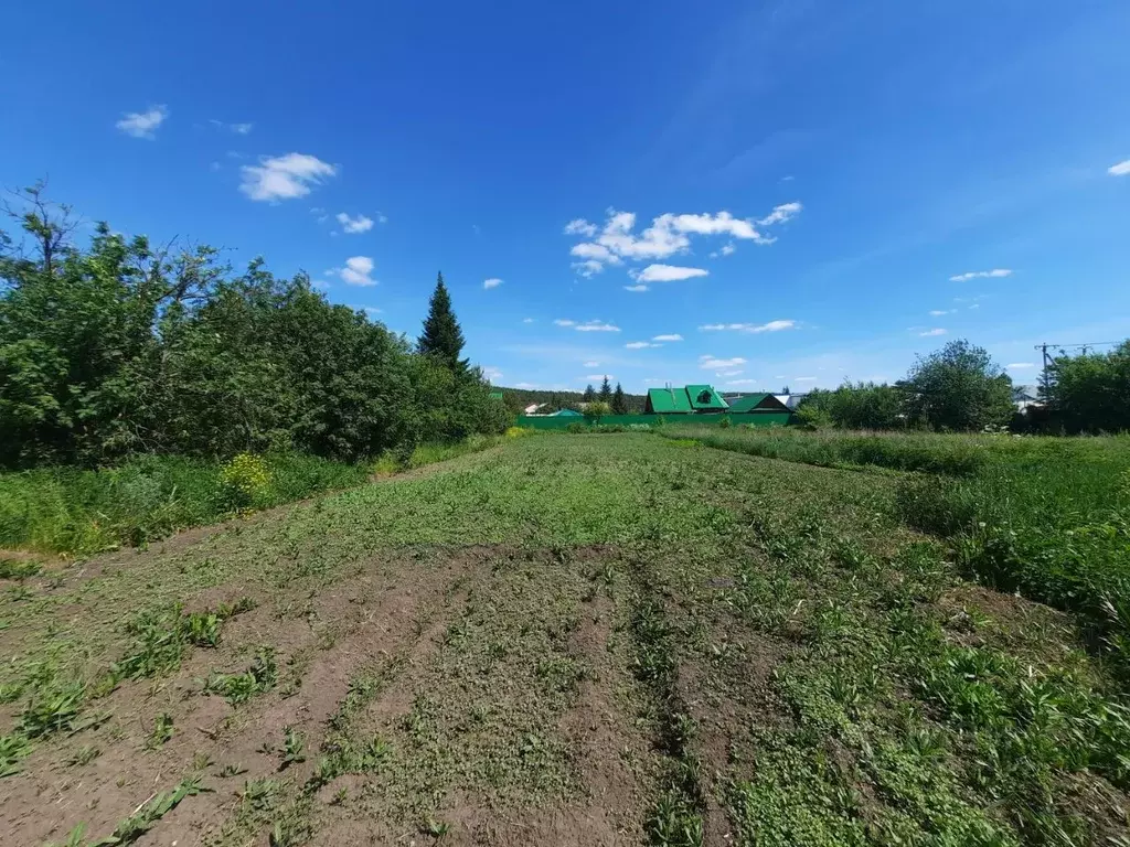 Участок в Свердловская область, Сысертский городской округ, с. Кашино ... - Фото 0