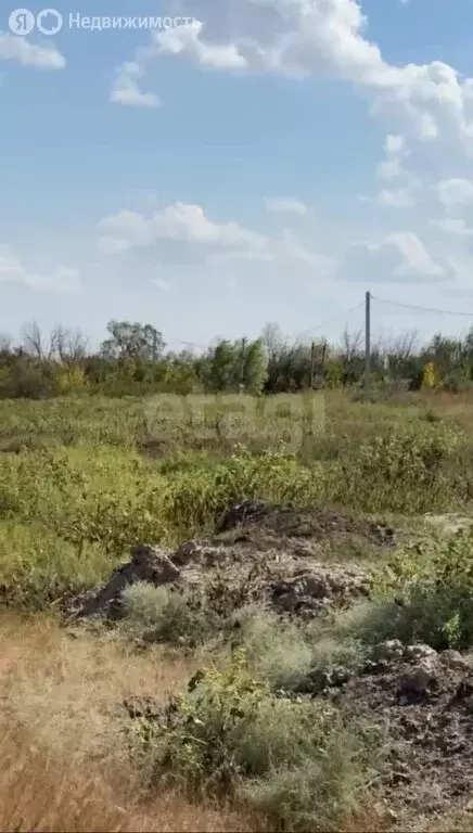 Участок в Елизаветинское сельское поселение, хутор Колузаево, улица ... - Фото 2