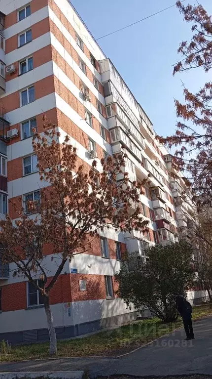 2-к кв. Челябинская область, Челябинск ул. Героев Танкограда, 65 (44.8 ... - Фото 1