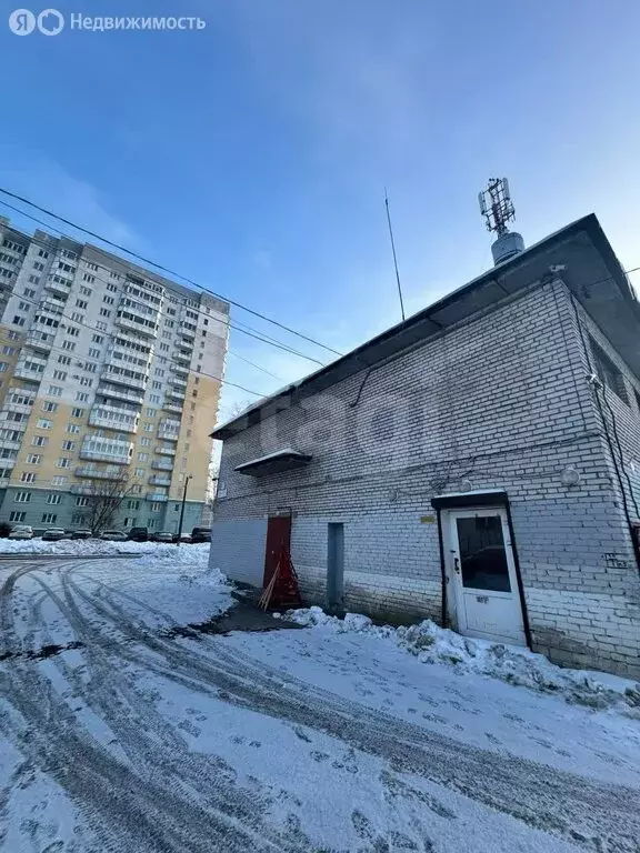 Помещение свободного назначения (51.6 м) - Фото 2