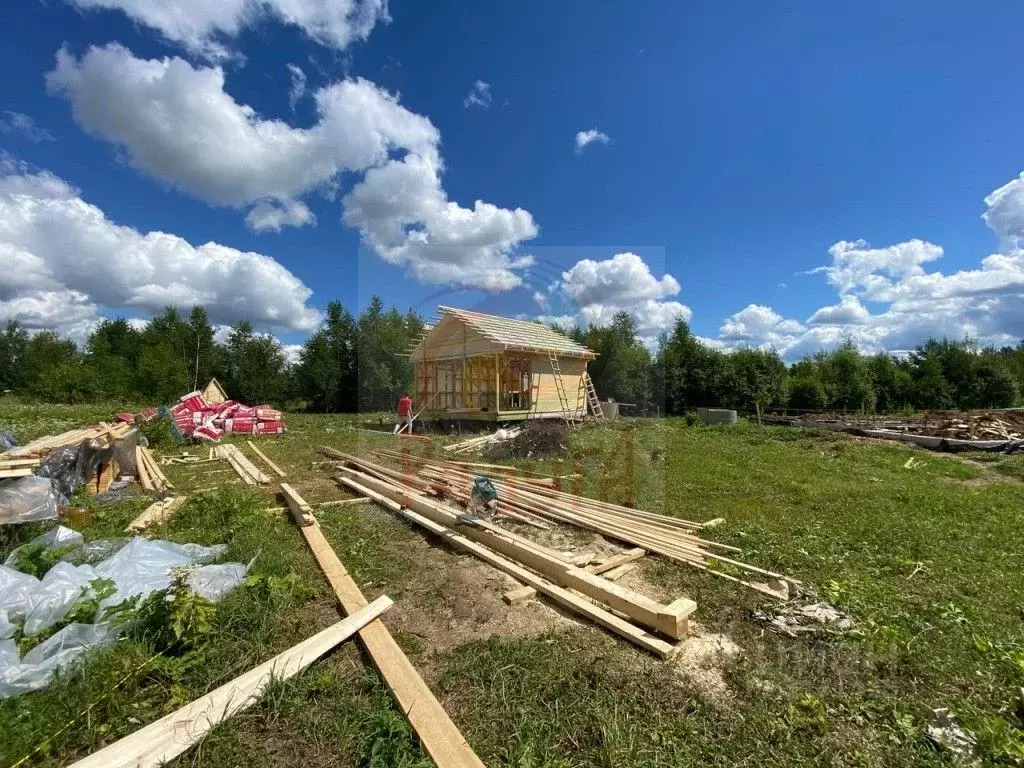 Панеево ивановская область. Панеево. Панеево Иваново. Коляновское сельское поселение.