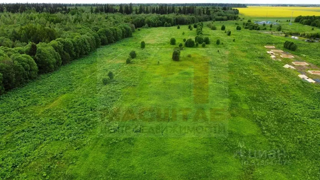 Участок в Ленинградская область, Волосовский район, д. Клопицы  (50.0 ... - Фото 0