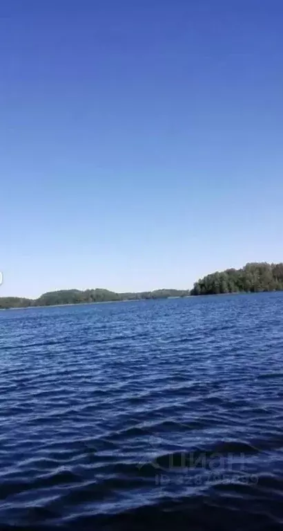 Участок в Псковская область, Пустошкинский район, Забельская волость, ... - Фото 1