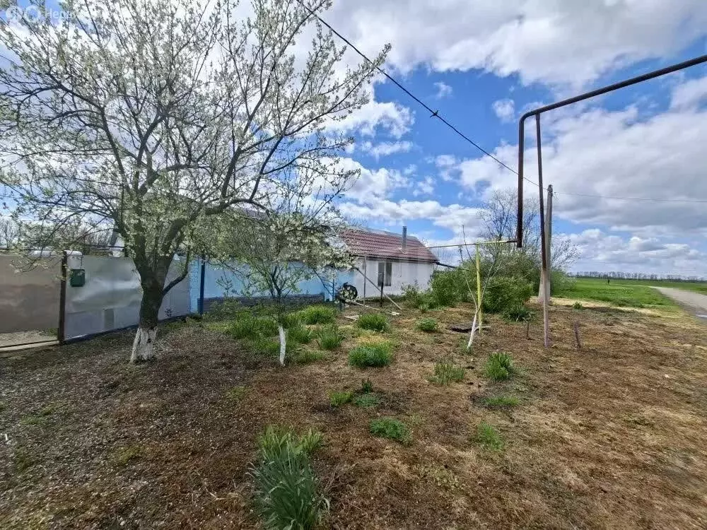 Дом в Брюховецкий район, Большебейсугское сельское поселение, село ... - Фото 2