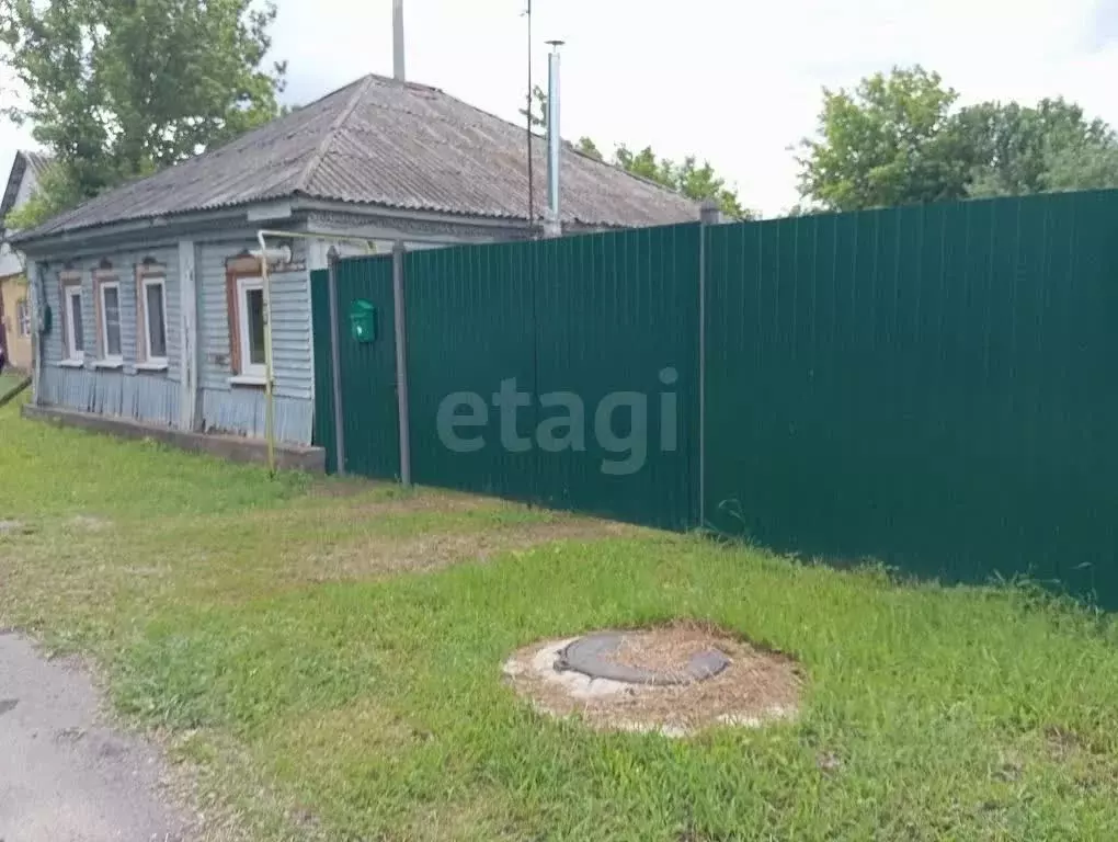 Дом в Воронежская область, Павловский район, с. Петровка ул. Лизы ... - Фото 1