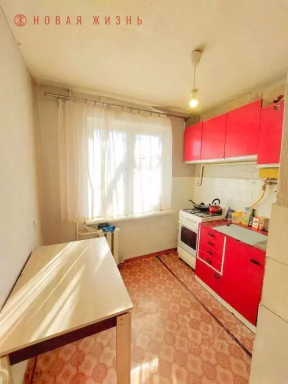 1-к кв. Самарская область, Самара ул. Авроры, 123 (32.0 м) - Фото 1