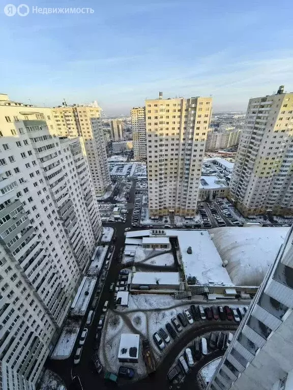 1-комнатная квартира: посёлок Шушары, Новгородский проспект, 10 (46.1 ... - Фото 1