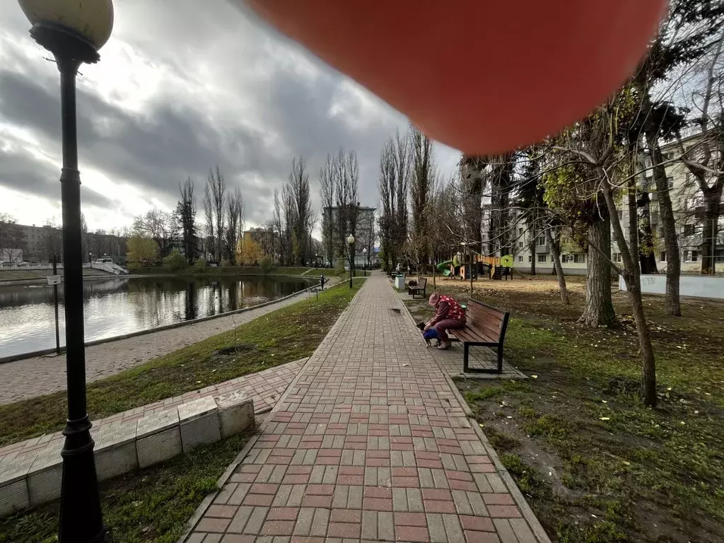 1-к кв. Воронежская область, Воронеж Ленинский просп., 125 (30.9 м) - Фото 2