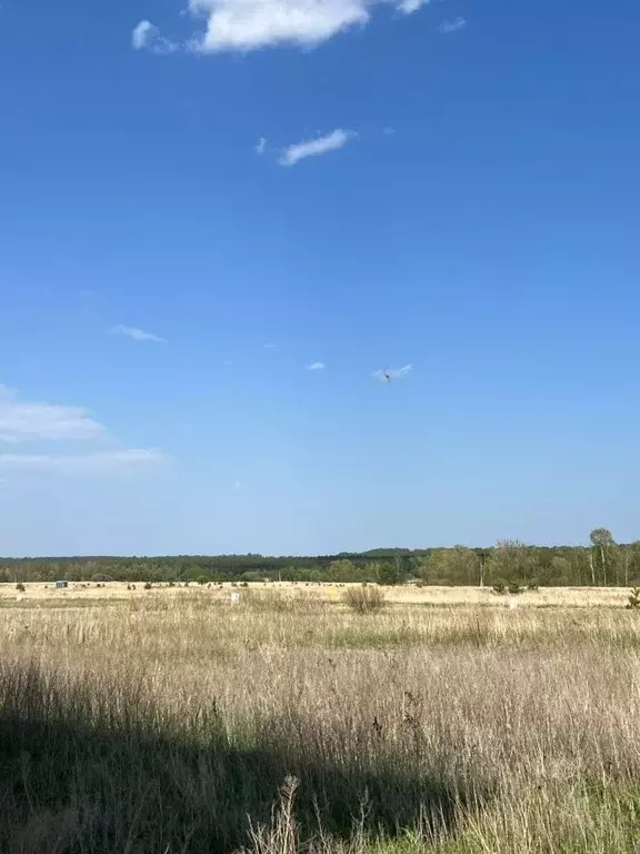 Участок в Татарстан, Лаишевский район, Нармонское с/пос, с. Тетеево  ... - Фото 1