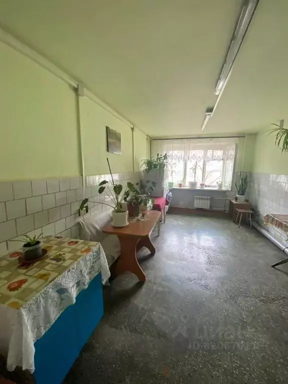 Комната Новосибирская область, Бердск Боровая ул., 100 - Фото 0