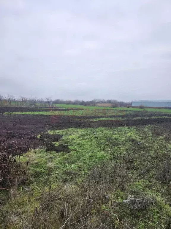 Участок в Ростовская область, Аксайский район, Мишкинское с/пос, пос. ... - Фото 1