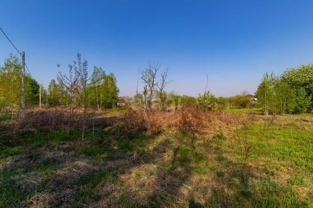 Участок в Хабаровский край, Хабаровский район, Тополевское с/пос, с. ... - Фото 2