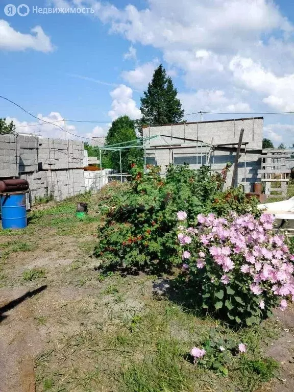 Участок в Тюмень, садовое товарищество Липовый Остров, 12-я Западная ... - Фото 1