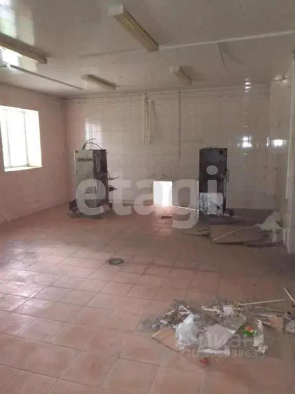 Склад в Брянская область, Погар рп ул. 1-й Квартал (1730 м) - Фото 2