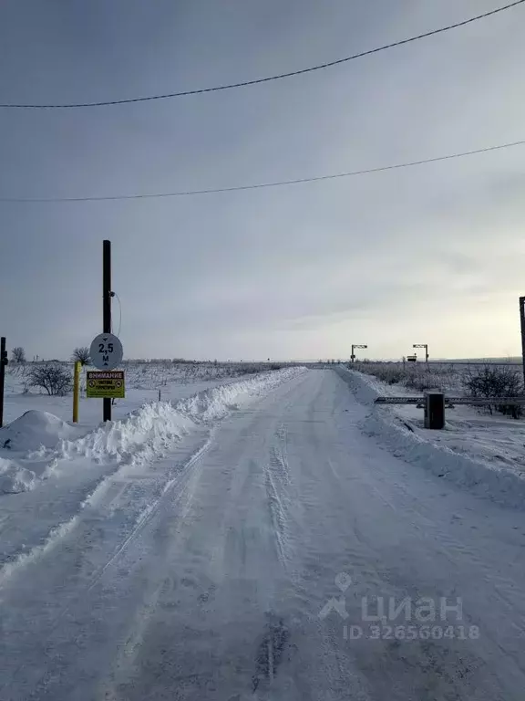 Дом в Курская область, Курский район, Рышковский сельсовет, Кислино ... - Фото 2