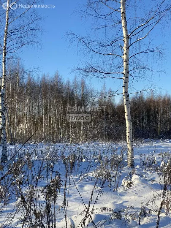 Участок в село Ягул, Удмуртская улица (10 м) - Фото 2