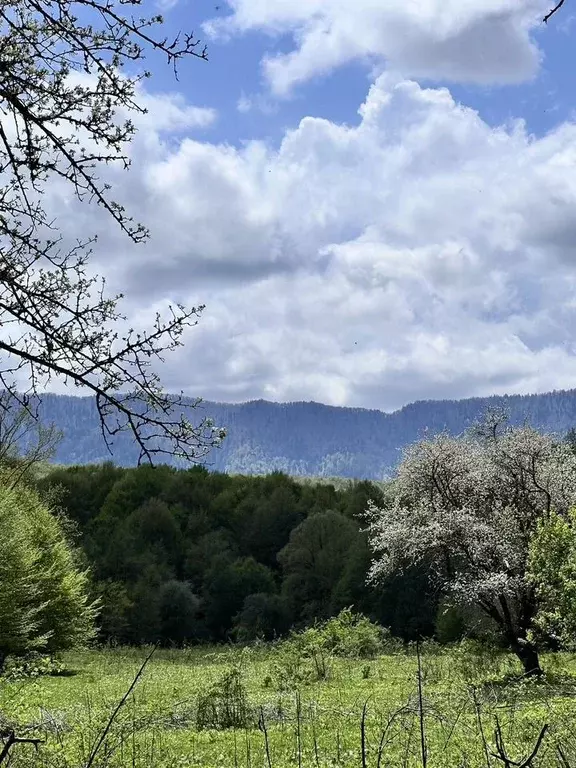 Участок в Адыгея, Майкопский район, Даховская ст-ца  (2.0 сот.) - Фото 1