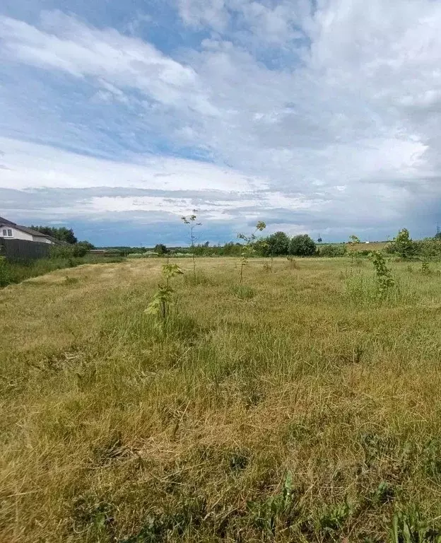 Участок в Московская область, Егорьевск ул. Калабалина (10.0 сот.) - Фото 2