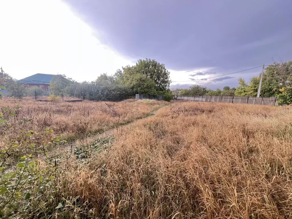 Участок в Ростовская область, Неклиновский район, с. Николаевка ул. ... - Фото 1