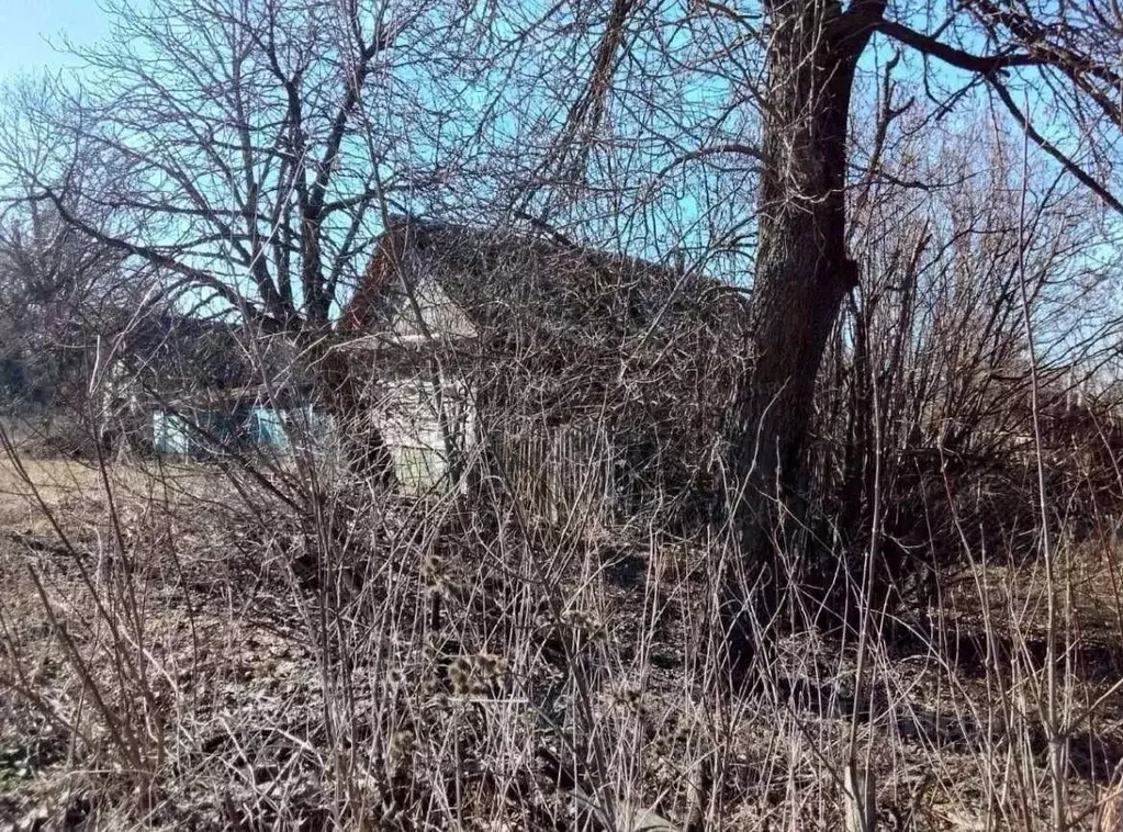 Дом в Брянская область, Погарский район, Витемлянское с/пос, пос. ... - Фото 2