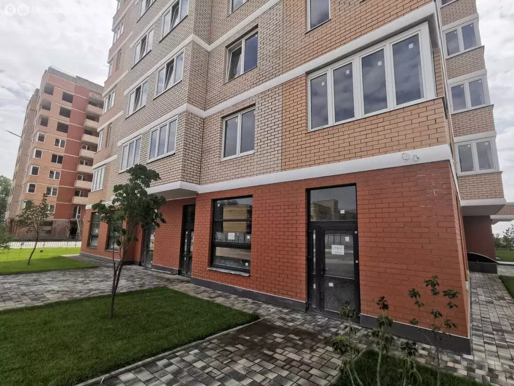 Помещение свободного назначения (32.4 м) - Фото 1
