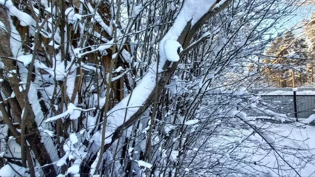 Участок в Ленинградская область, Гатчинский муниципальный округ, ... - Фото 1