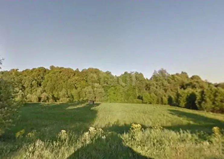 Участок в Калужская область, Боровский муниципальный округ, д. ... - Фото 1