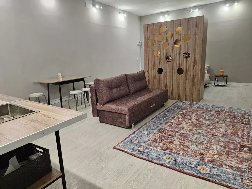 Студия Татарстан, Елабуга просп. Мира, 14А (51.0 м) - Фото 1