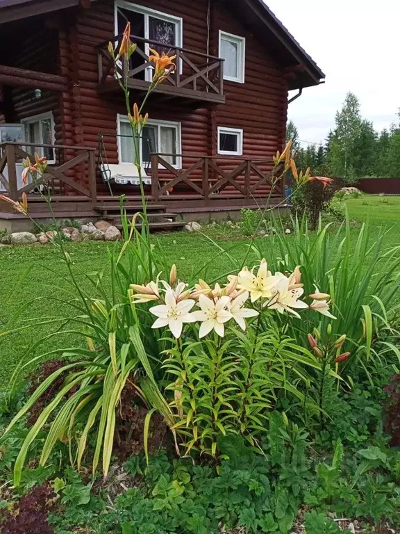 Дом в Ленинградская область, Тосненский район, Рябовское городское ... - Фото 1