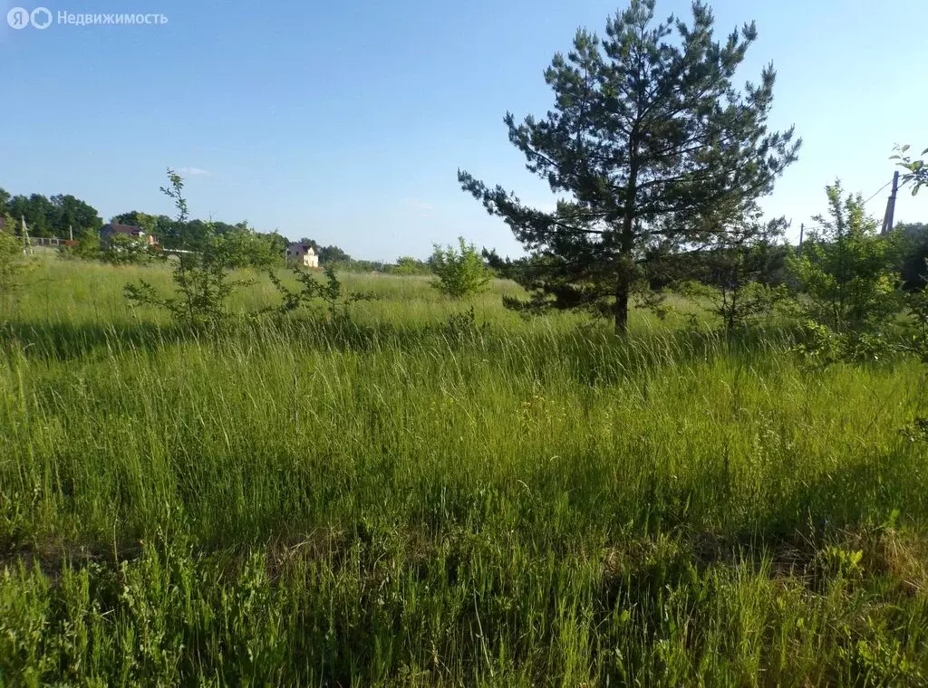 Участок в Московская область, городской округ Серпухов, деревня ... - Фото 1